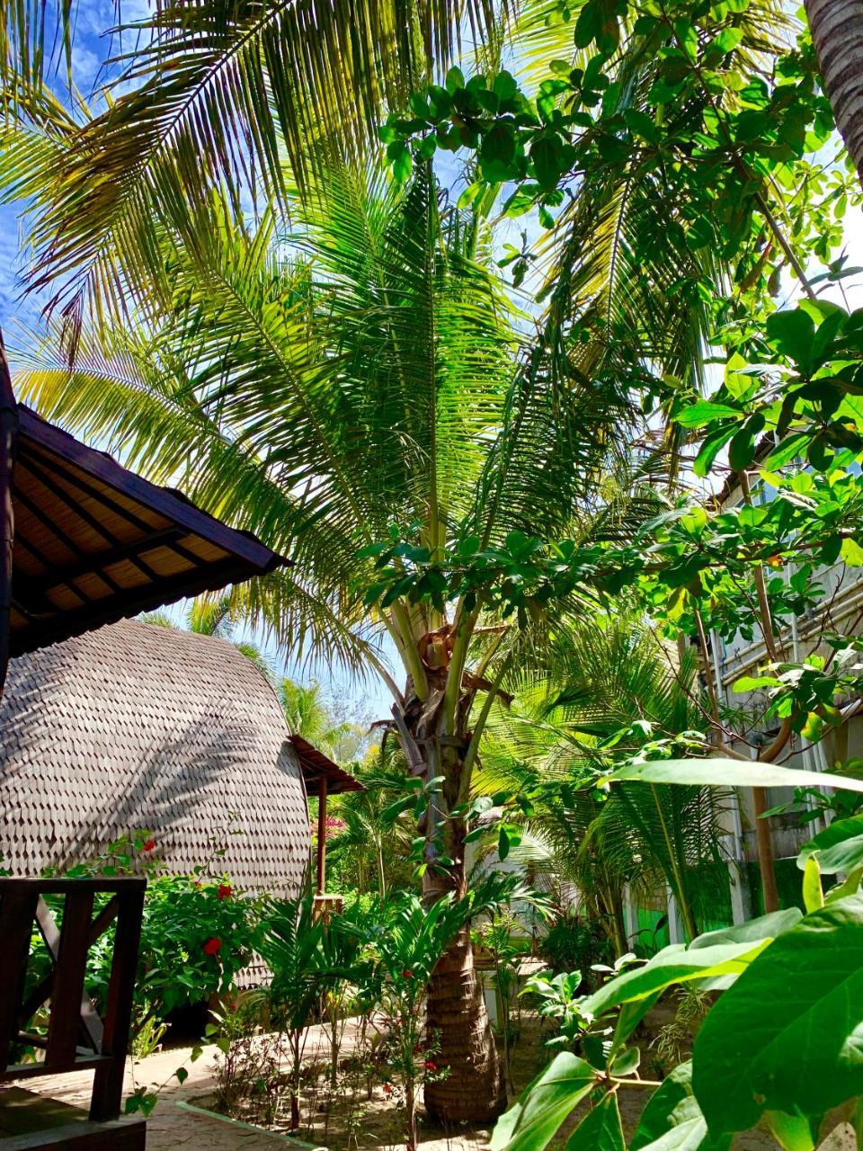 Damai Village Gili Trawangan Buitenkant foto